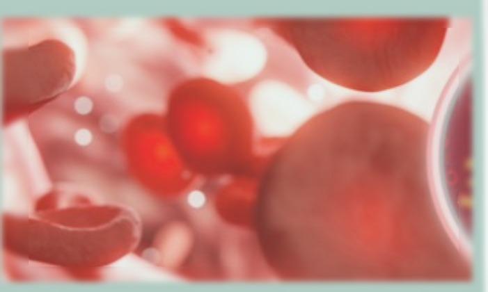 Patient Blood Management (PBM): un nuevo estándar de cuidado